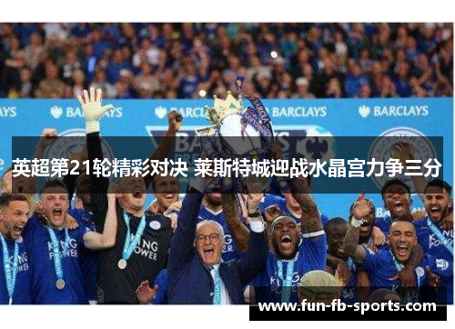 英超第21轮精彩对决 莱斯特城迎战水晶宫力争三分 英超第21轮精彩对决 莱斯特城迎战水晶宫力争三分