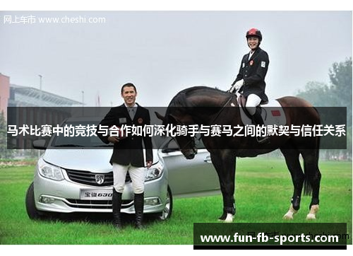 马术比赛中的竞技与合作如何深化骑手与赛马之间的默契与信任关系 马术比赛中的竞技与合作如何深化骑手与赛马之间的默契与信任关系